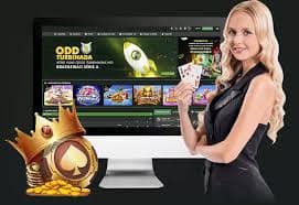 bet 4